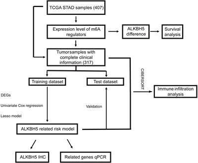 Frontiers | Identification And Validation Of Signature For Prognosis ...